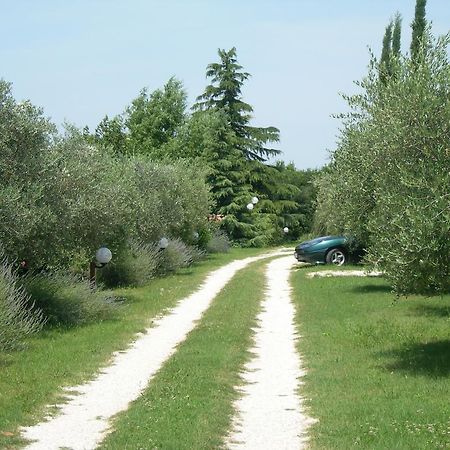 Vista Assisi Bed and Breakfast Exteriör bild