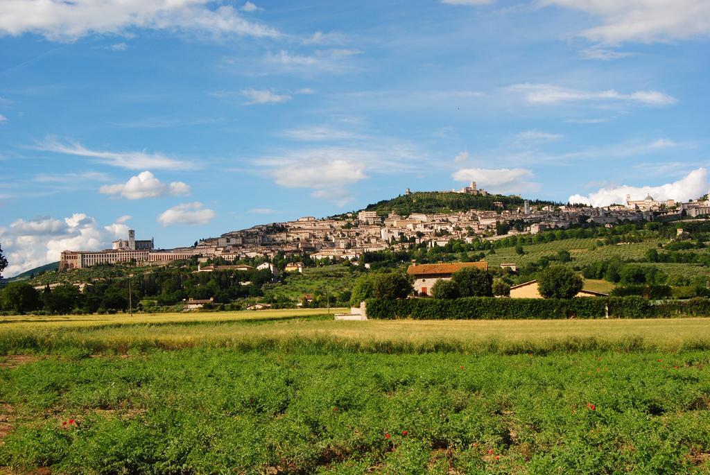 Vista Assisi Bed and Breakfast Exteriör bild
