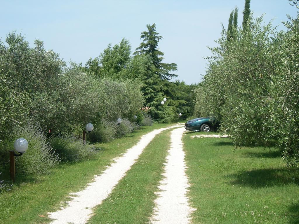 Vista Assisi Bed and Breakfast Exteriör bild