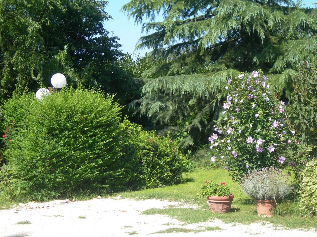 Vista Assisi Bed and Breakfast Exteriör bild
