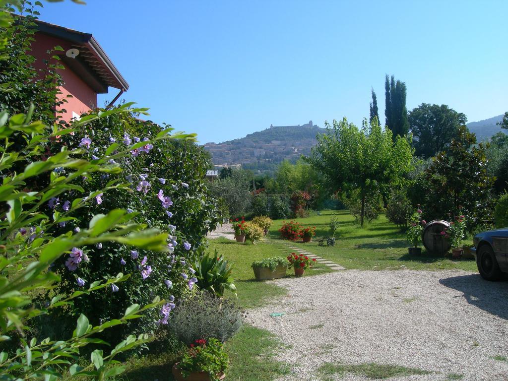 Vista Assisi Bed and Breakfast Exteriör bild