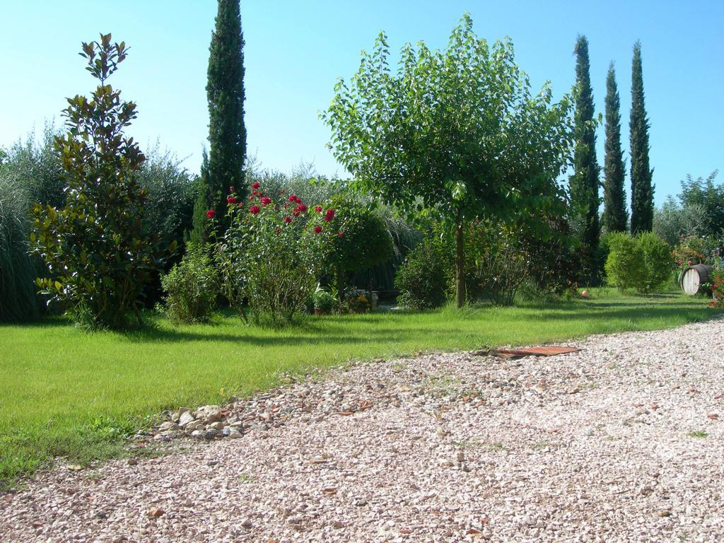 Vista Assisi Bed and Breakfast Exteriör bild