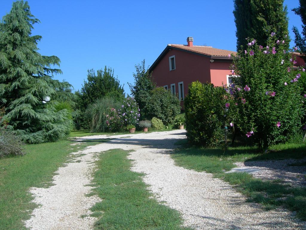 Vista Assisi Bed and Breakfast Exteriör bild