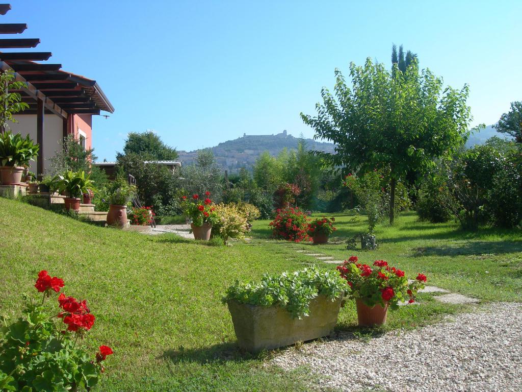 Vista Assisi Bed and Breakfast Exteriör bild