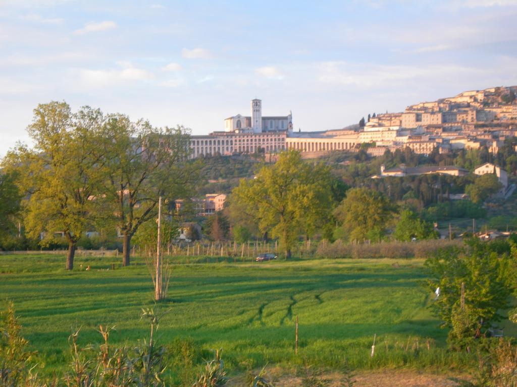 Vista Assisi Bed and Breakfast Exteriör bild