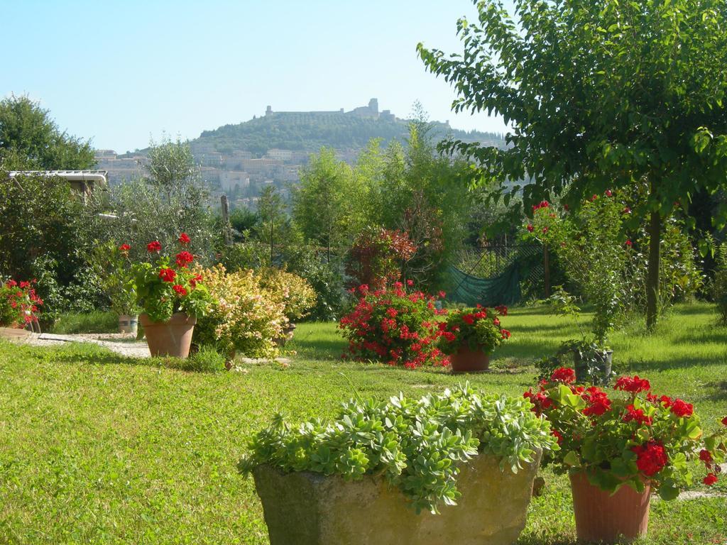Vista Assisi Bed and Breakfast Exteriör bild