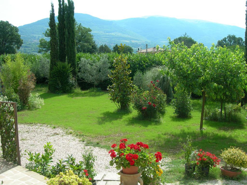 Vista Assisi Bed and Breakfast Exteriör bild