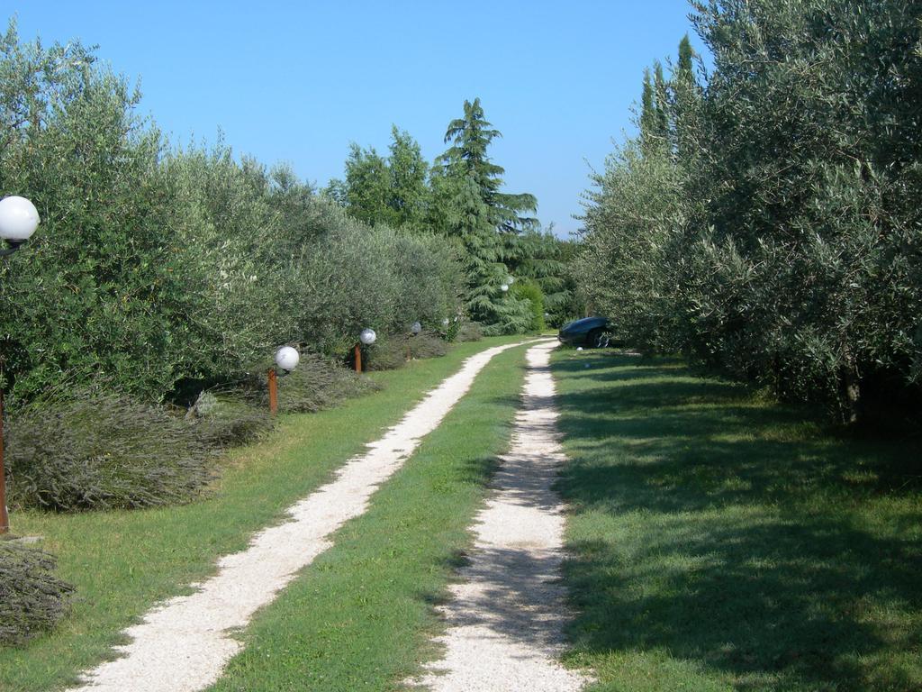 Vista Assisi Bed and Breakfast Exteriör bild